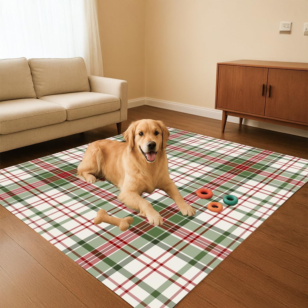 Muddy Mat Muddy Carpet Plaid Washable Area Rugs for Living Room, Bedroom & Dining Room – Modern Soft Low Pile Non Slip Carpet – Pet Friendly Waterproof Foldable Rugs for Home